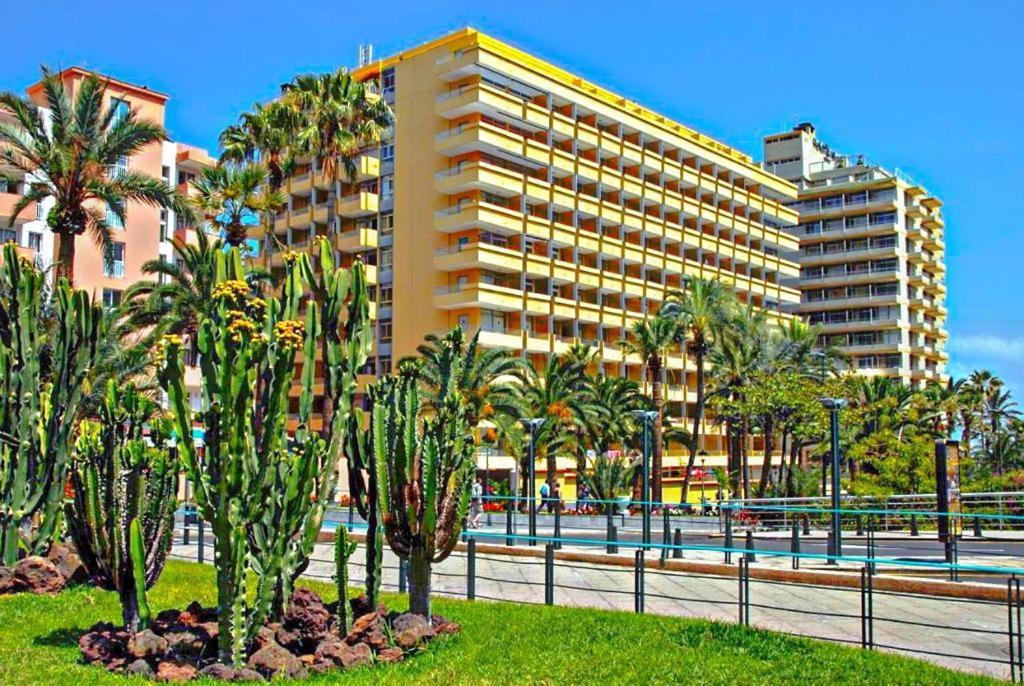Acogedor Estudio En Martianez Puerto de la Cruz  Exterior photo